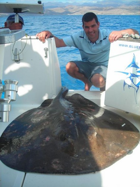 26/11 roughtail stingray Cavalier & Blue Marlin Sport Fishing Gran Canaria