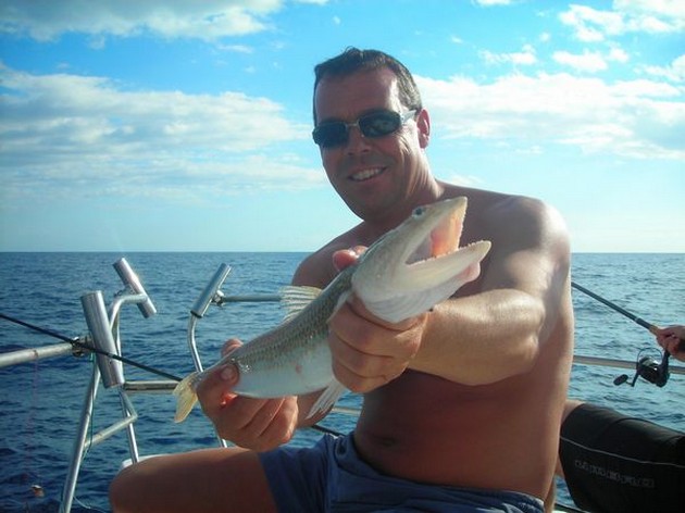 Lizard fish Cavalier & Blue Marlin Sport Fishing Gran Canaria