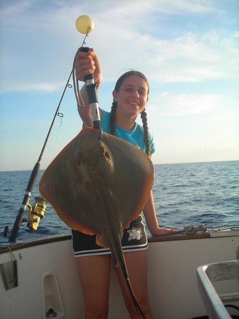 common stingray Cavalier & Blue Marlin Sport Fishing Gran Canaria
