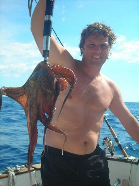octopus Cavalier & Blue Marlin Sport Fishing Gran Canaria
