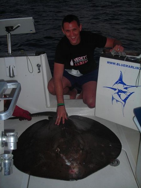 roughtail stingray Cavalier & Blue Marlin Sport Fishing Gran Canaria