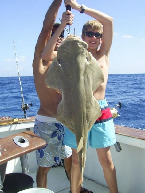 angelshark Cavalier & Blue Marlin Sport Fishing Gran Canaria
