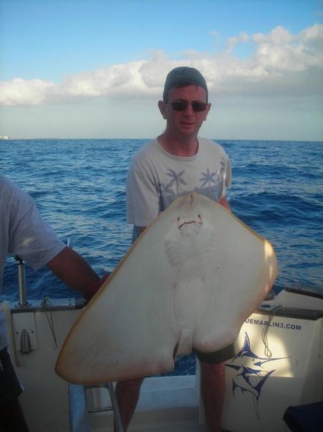 butterfly ray Cavalier & Blue Marlin Sport Fishing Gran Canaria