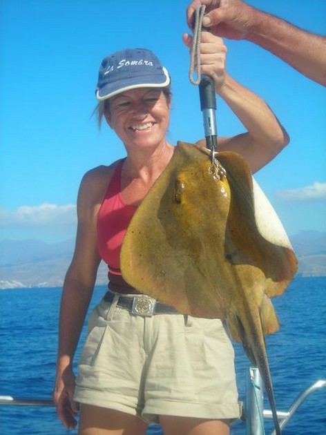 common stingray Cavalier & Blue Marlin Sport Fishing Gran Canaria
