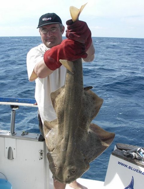angelshark Cavalier & Blue Marlin Sport Fishing Gran Canaria