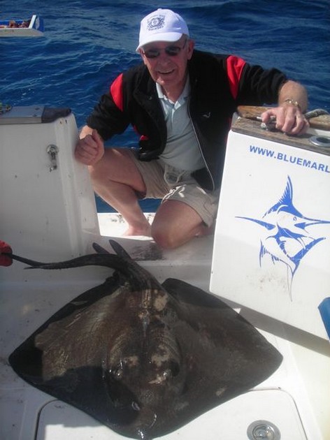 common stingray Cavalier & Blue Marlin Sport Fishing Gran Canaria