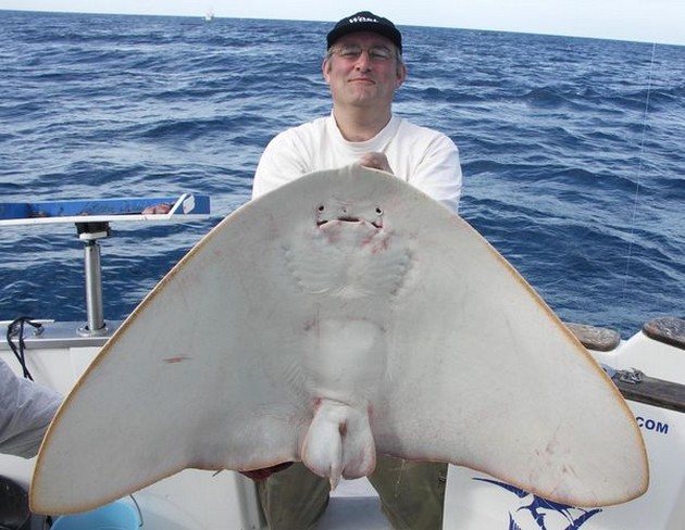 05/11 butterfly ray Cavalier & Blue Marlin Sport Fishing Gran Canaria