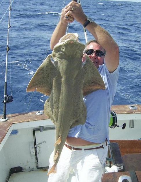 angelshark Cavalier & Blue Marlin Sport Fishing Gran Canaria