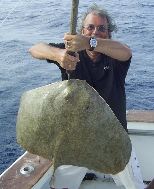butterfly ray Cavalier & Blue Marlin Sport Fishing Gran Canaria