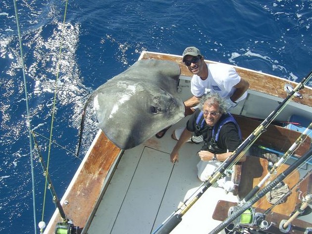 common stingray Cavalier & Blue Marlin Sport Fishing Gran Canaria