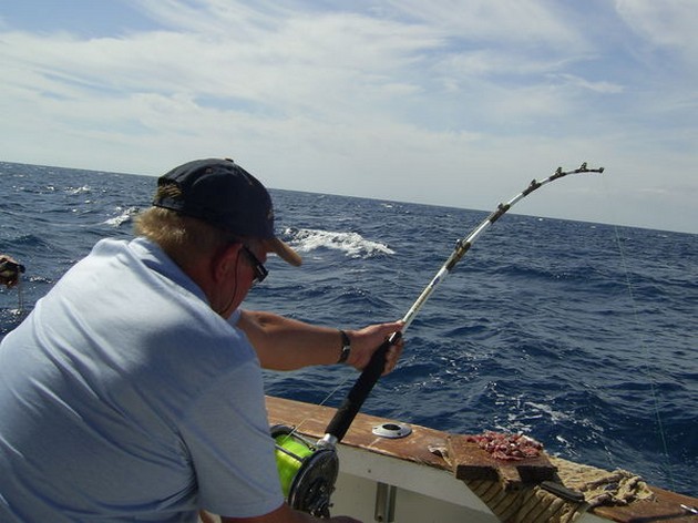 Puerto Rico 5 de noviembre 7:00 pm RAYOS GIGANTES Dos de nuestros - Cavalier & Blue Marlin Sport Fishing Gran Canaria