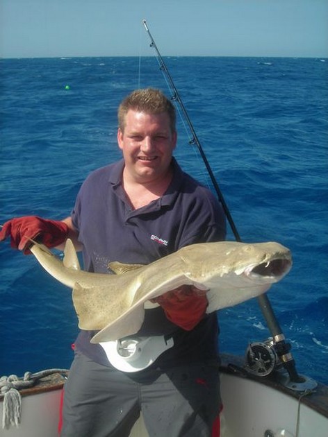 06/11 angelshark Cavalier & Blue Marlin Sport Fishing Gran Canaria