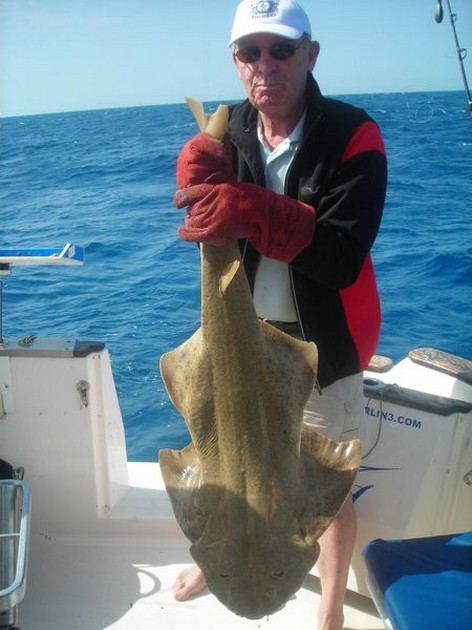 angelshark Cavalier & Blue Marlin Sport Fishing Gran Canaria