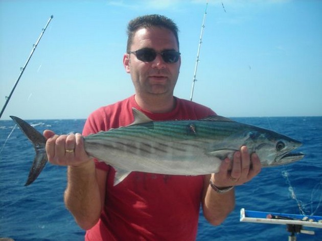 north atlantic bonito Cavalier & Blue Marlin Sport Fishing Gran Canaria