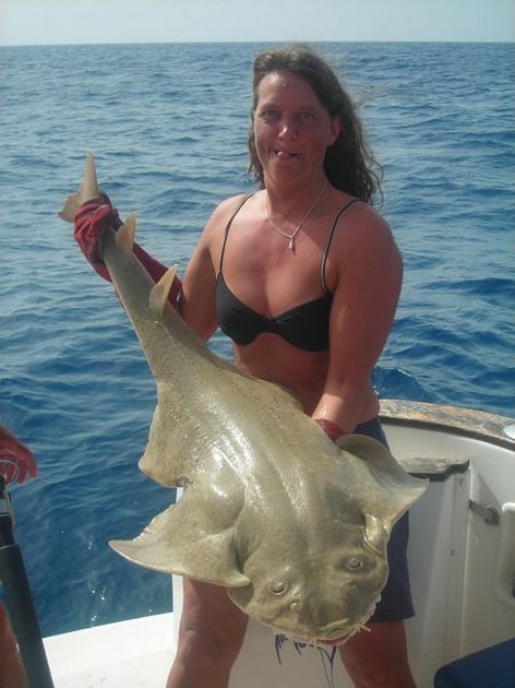 08/11 angelshark Cavalier & Blue Marlin Sport Fishing Gran Canaria