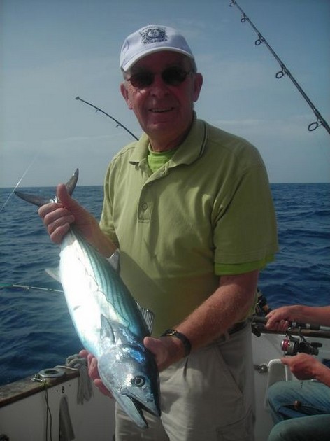 north atlantic bonito Cavalier & Blue Marlin Sport Fishing Gran Canaria
