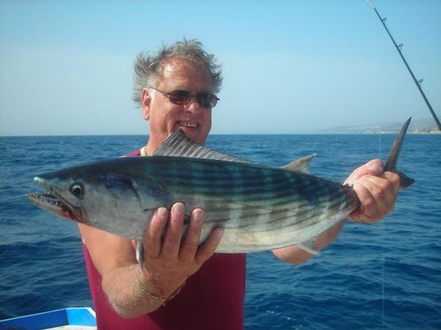north atlantic bonito Cavalier & Blue Marlin Sport Fishing Gran Canaria
