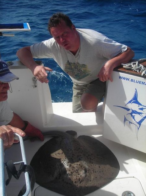 roughtail stingray Cavalier & Blue Marlin Sport Fishing Gran Canaria