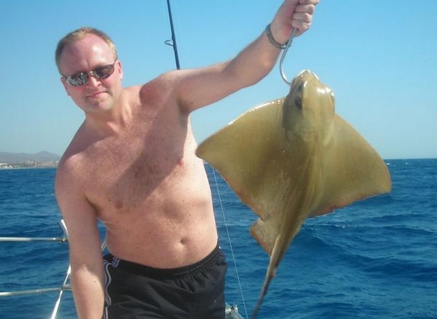 egle ray Cavalier & Blue Marlin Sport Fishing Gran Canaria