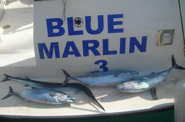 Puerto Rico 13 November 22.00 uurDORADODat er slepend Cavalier & Blue Marlin Sport Fishing Gran Canaria