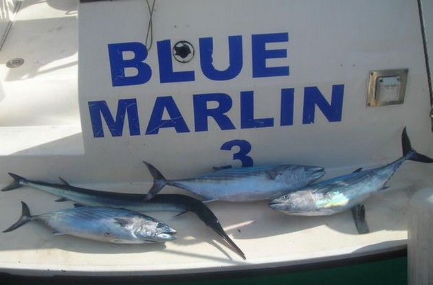  - Cavalier & Blue Marlin Sport Fishing Gran Canaria