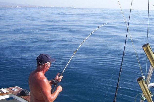 Puerto Rico 14 November 19.30 pmBARACUDA`SDe boot White - Cavalier & Blue Marlin Sport Fishing Gran Canaria