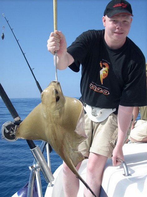 eagle ray Cavalier & Blue Marlin Sport Fishing Gran Canaria