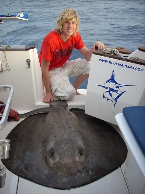 round stingray Cavalier & Blue Marlin Sport Fishing Gran Canaria