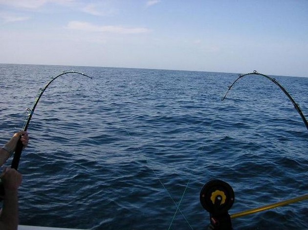 Puerto Rico 17 November 20.00 uurVAN HARTETwee afvaarten Cavalier & Blue Marlin Sport Fishing Gran Canaria
