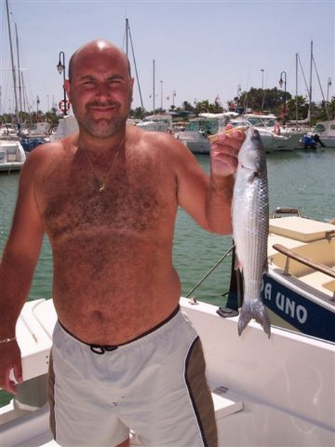 Vincent de Smet België Cavalier & Blue Marlin Sport Fishing Gran Canaria