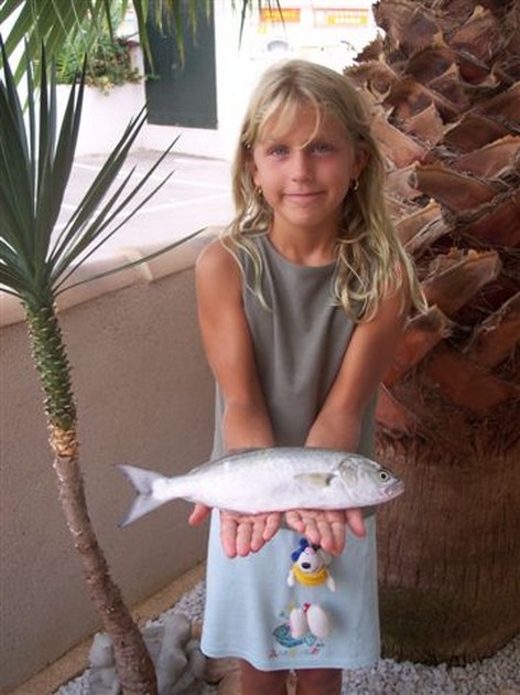 Vincent de Smet België Cavalier & Blue Marlin Sport Fishing Gran Canaria