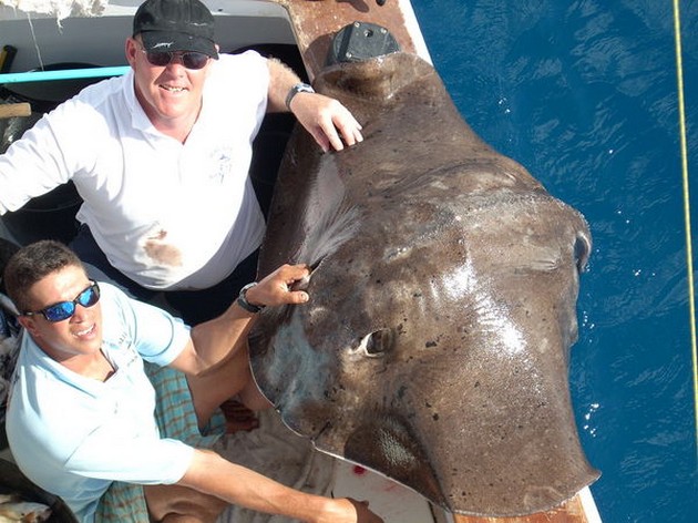 common stingray Cavalier & Blue Marlin Sport Fishing Gran Canaria