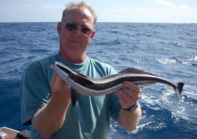 striped remora Cavalier & Blue Marlin Sport Fishing Gran Canaria