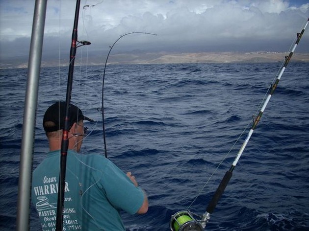 Puerto Rico 22 november 18.00 ANGELSHARKS Även idag - Cavalier & Blue Marlin Sport Fishing Gran Canaria