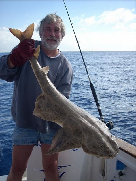 22/11 angelshark Cavalier & Blue Marlin Sport Fishing Gran Canaria