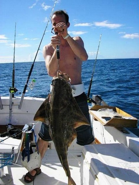 angelshark Cavalier & Blue Marlin Sport Fishing Gran Canaria