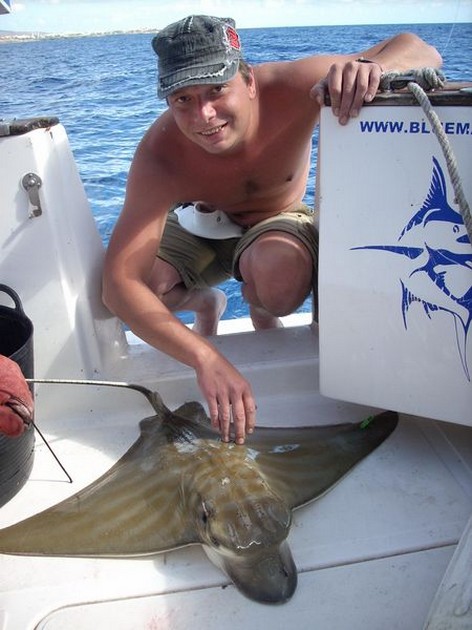 duckbill ray Cavalier & Blue Marlin Sport Fishing Gran Canaria