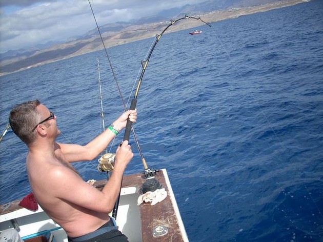 Puerto Rico 25 November 8.15 uurGEPENHet waren gisteren - Cavalier & Blue Marlin Sport Fishing Gran Canaria