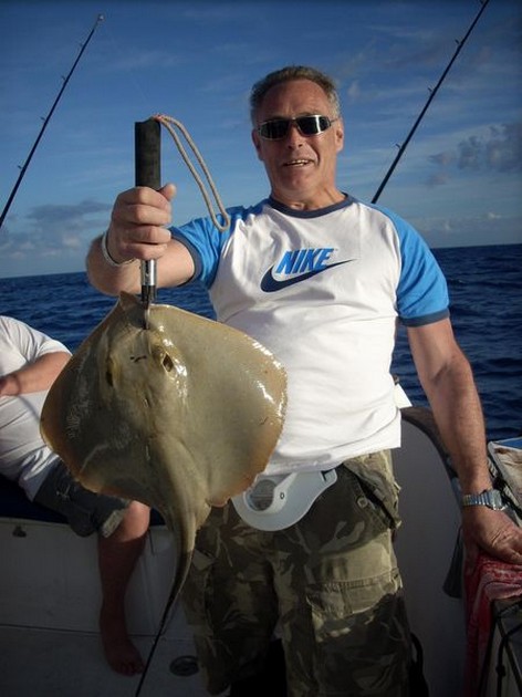 common stingray Cavalier & Blue Marlin Sport Fishing Gran Canaria
