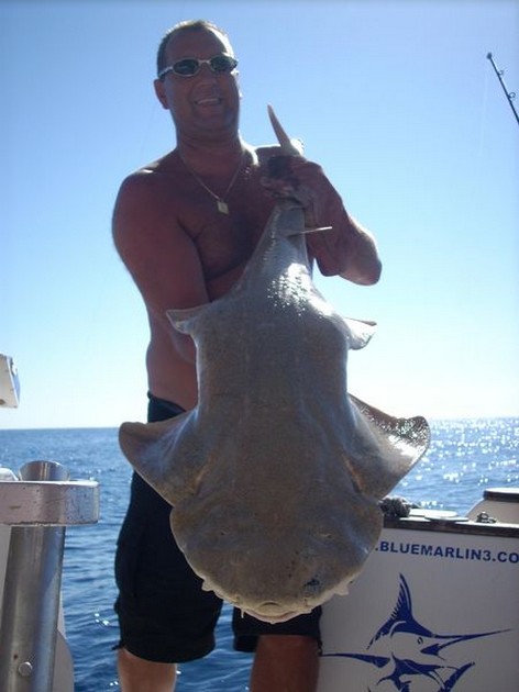 03/01 angelshark Cavalier & Blue Marlin Sport Fishing Gran Canaria