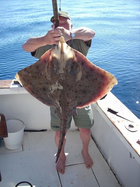 blonde ray Cavalier & Blue Marlin Sport Fishing Gran Canaria