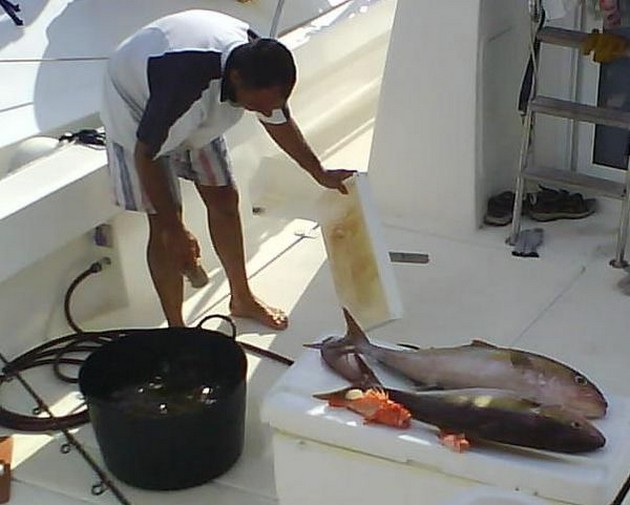 amberjack Cavalier & Blue Marlin Sport Fishing Gran Canaria