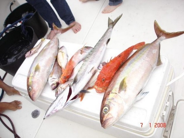 Puerto Rico 7. Januar 22.00 0 Uhr ERSTAUNLICHER TAG Heute - Cavalier & Blue Marlin Sport Fishing Gran Canaria