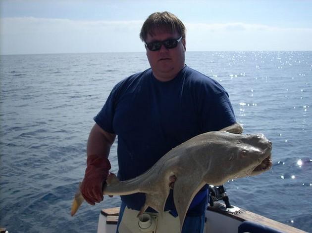 angelshark Cavalier & Blue Marlin Sport Fishing Gran Canaria