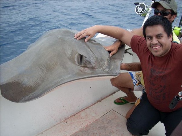 common stingray Cavalier & Blue Marlin Sport Fishing Gran Canaria