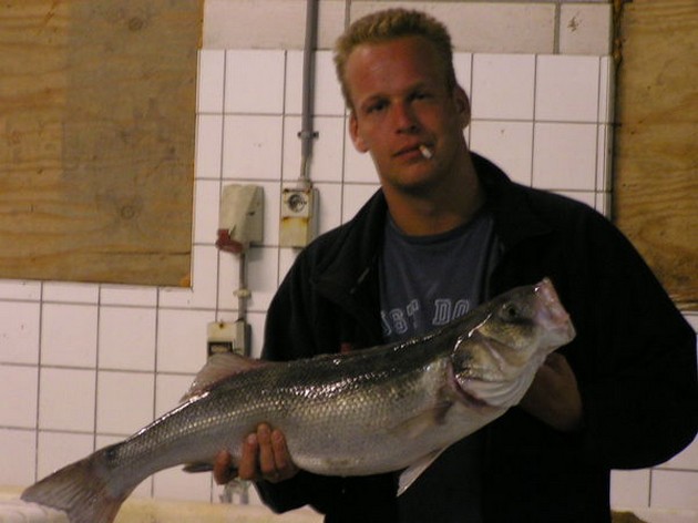 Wesly Bal Holland Cavalier & Blue Marlin Sport Fishing Gran Canaria