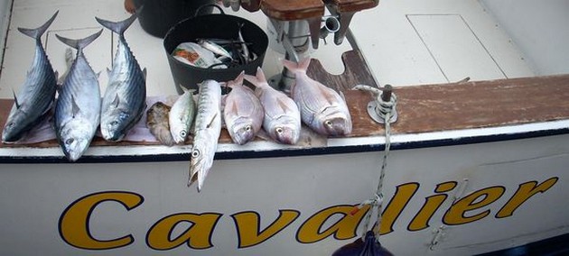 Puerto Rico klockan 16.20 REEFFISKE Det bästa fisket - Cavalier & Blue Marlin Sport Fishing Gran Canaria