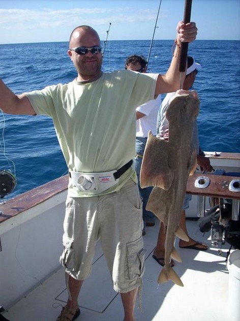 angelshark Cavalier & Blue Marlin Sport Fishing Gran Canaria