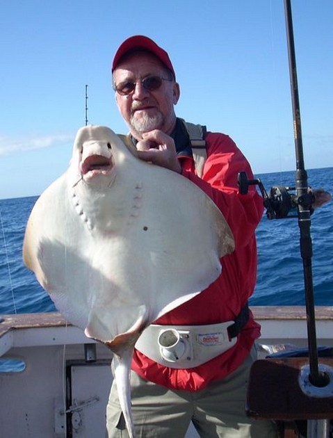 eagle ray Cavalier & Blue Marlin Sport Fishing Gran Canaria