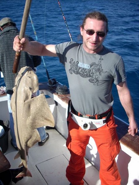 angelshark Cavalier & Blue Marlin Sport Fishing Gran Canaria